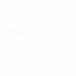 Meet your Posher, Assad